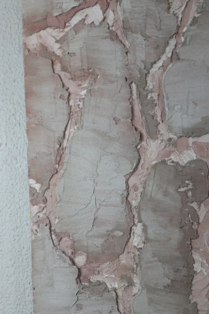 MIXED MEDIA ON CEMENT