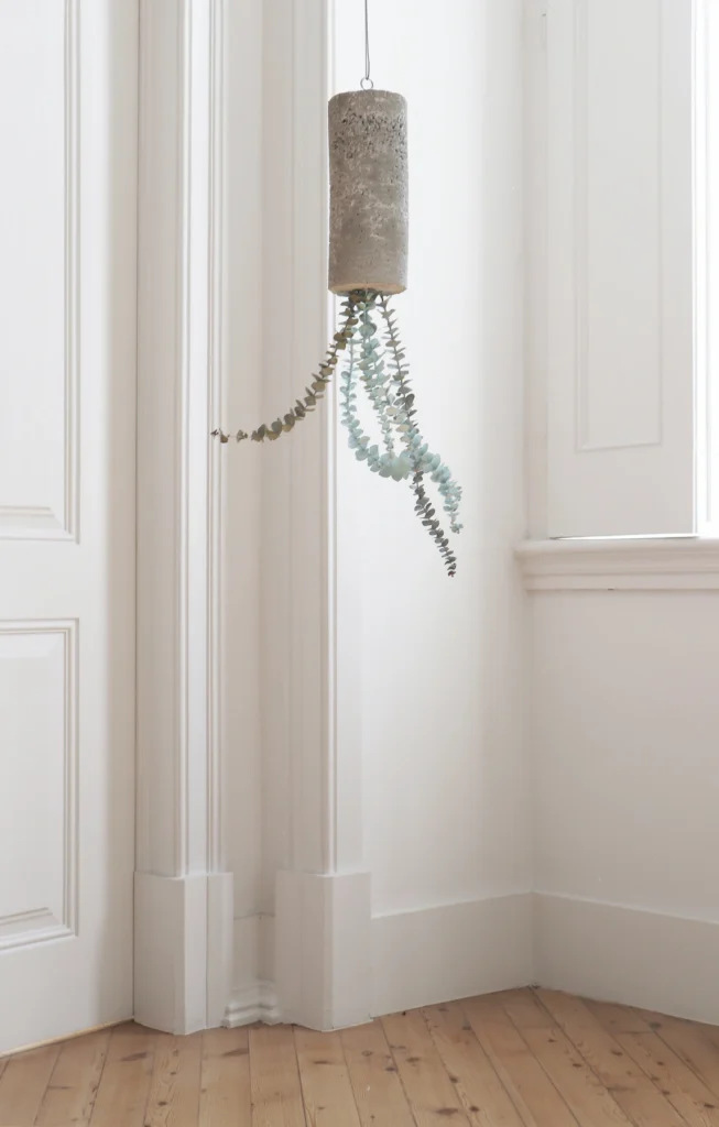 CONCRETE, STEEL CABLE, SCREW EYE WITH WALL PLUG, AND PAINTED EUCALYPTUS