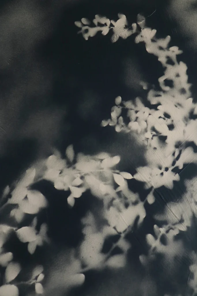 MIXED MEDIA ON CANVAS