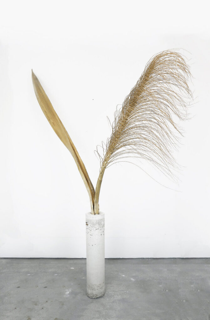 CONCRETE AND PAINTED PALM LEAF