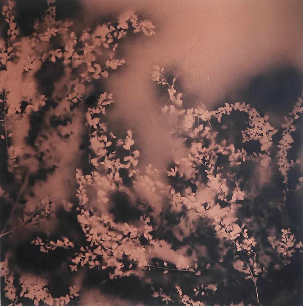 MIXED MEDIA ON CANVAS