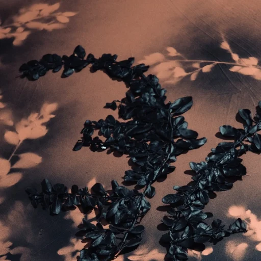 MIXED MEDIA ON CANVAS